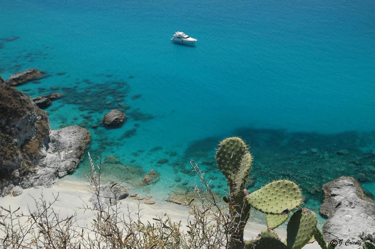 Graceland And Capo Vaticano