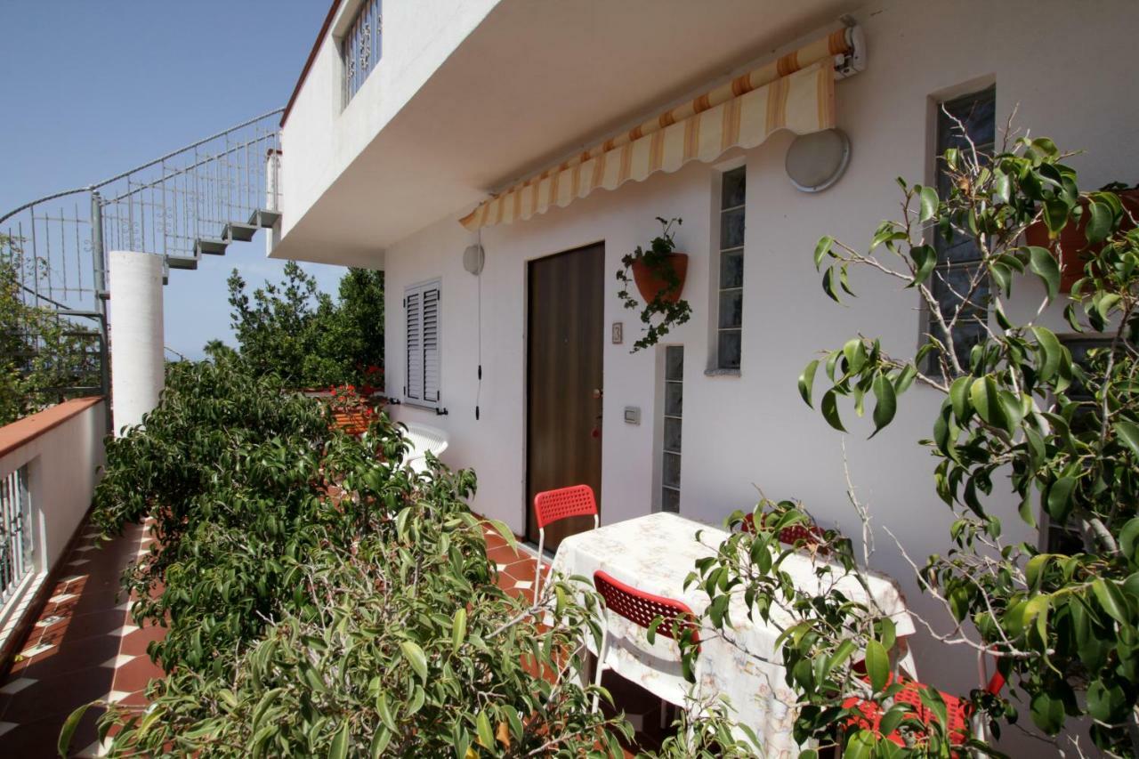Graceland And * Capo Vaticano